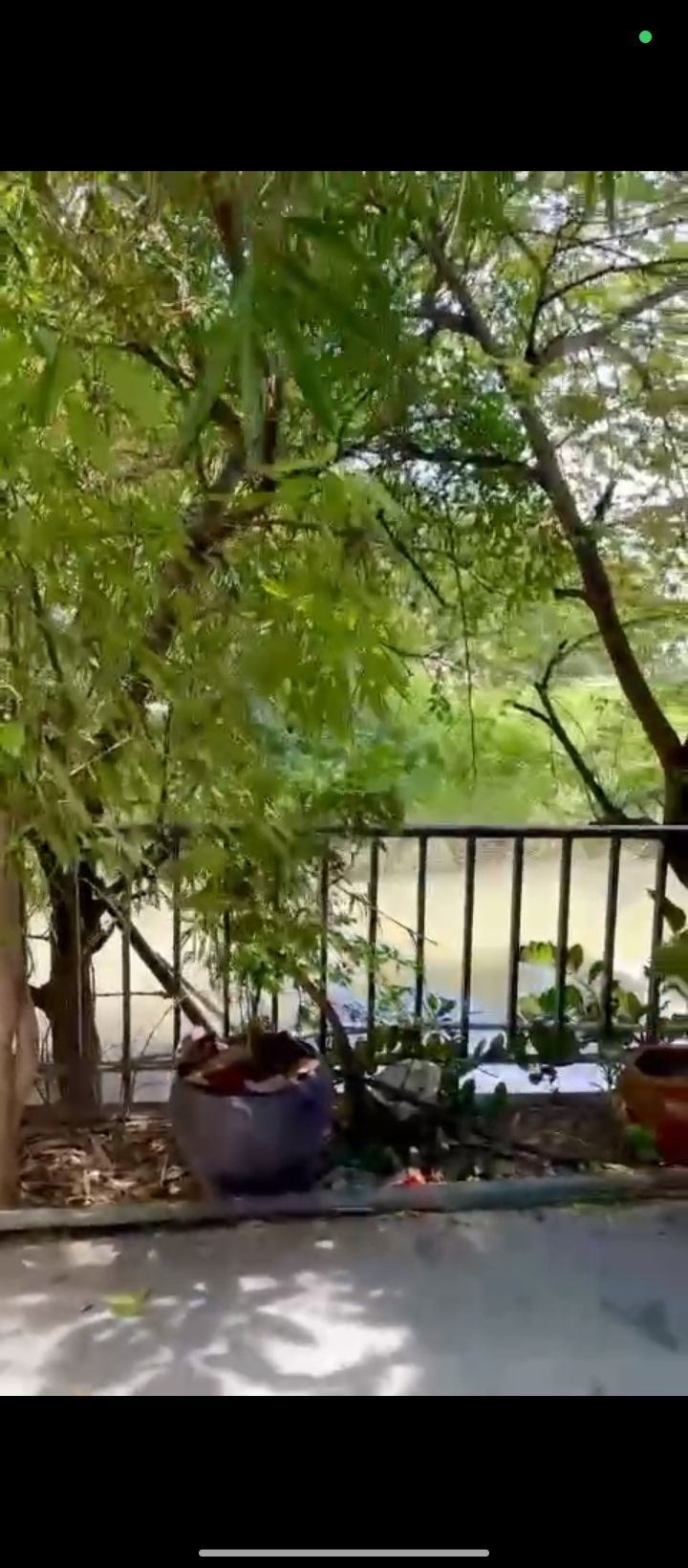 Nhà 3 tầng mặt tiền Nguyễn Duy Hiệu, Hội An 79m² giá 8 tỷ - View sông tuyệt đẹp!