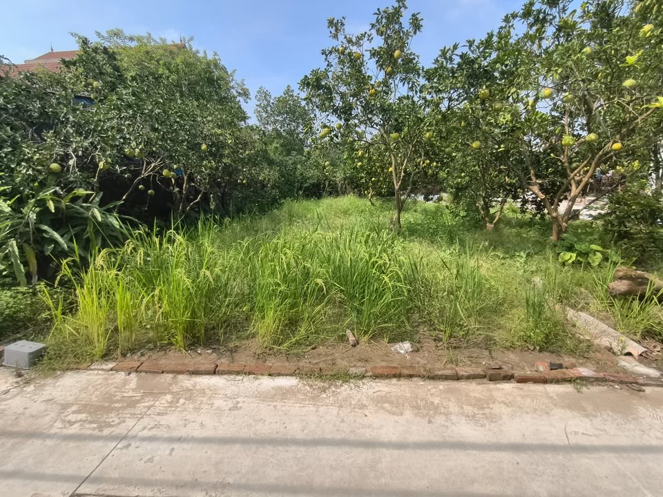 Đất nền Phú Xuyên 91.9m² giá 1.9 tỷ - Sổ đỏ chính chủ, vị trí đẹp!