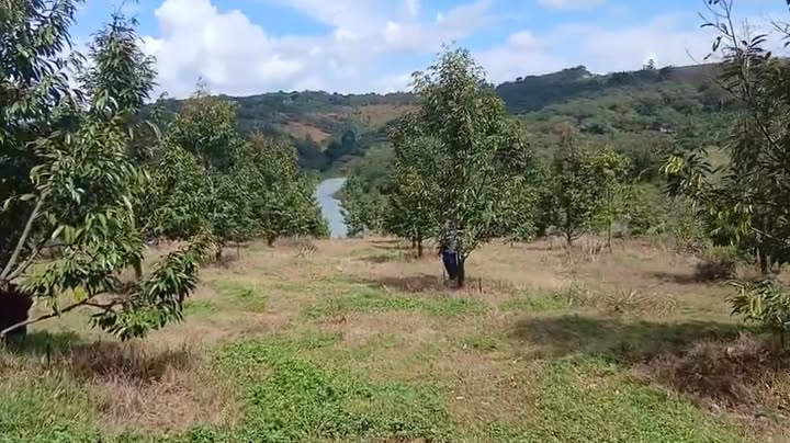 Đất vườn 70.000m² tại xã Đồng Nai - Giá chỉ 1.1 tỷ - Đầu tư sinh lời ngay!