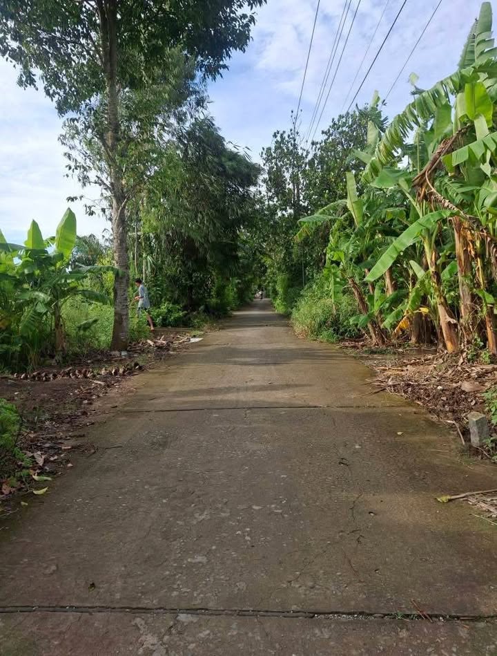 Đất mặt tiền đường Huỳnh Văn Chính, phường 2, Tx Cai Lậy 250m² - Thích hợp xây villa nghỉ dưỡng!