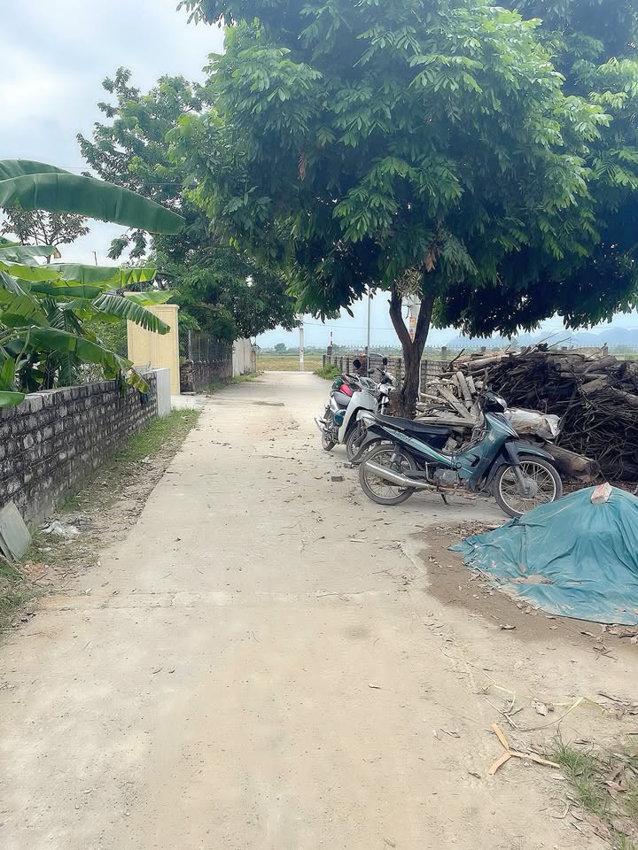 Đất thổ cư 233.3m² tại Thôn Trì, Thượng Lâm, Mỹ Đức - Giá chỉ 2.333 tỷ!