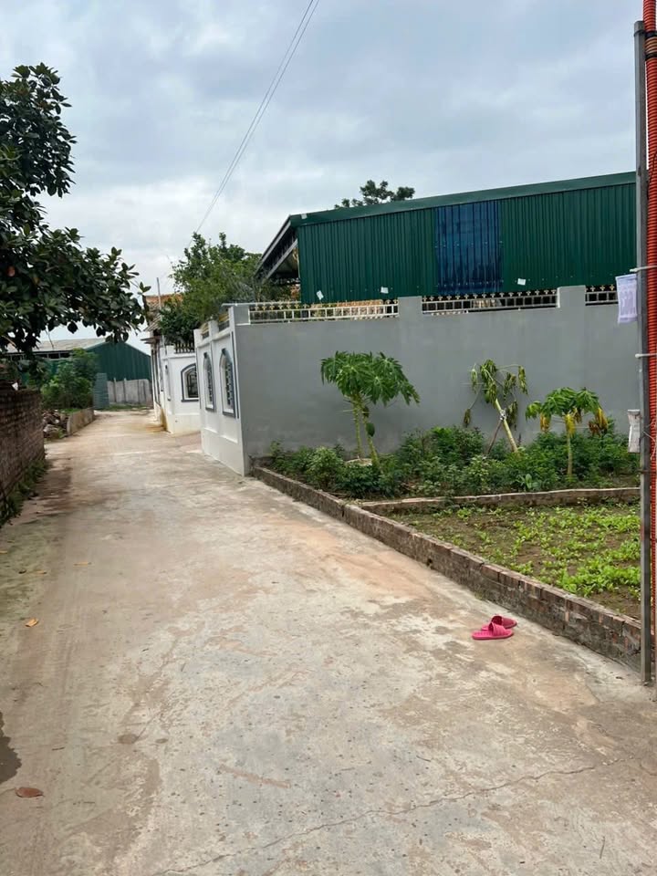 Đất thổ cư 83m² xã Liên Minh Đan Phượng - Giá chỉ 2 tỷ VND, ô tô đỗ cửa!