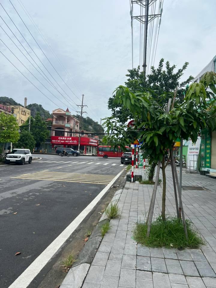 Mặt bằng cho thuê 70m² tại Ngõ 384 Nguyễn Công Trứ, Ninh Bình - Vỉa hè rộng, kinh doanh thuận lợi!