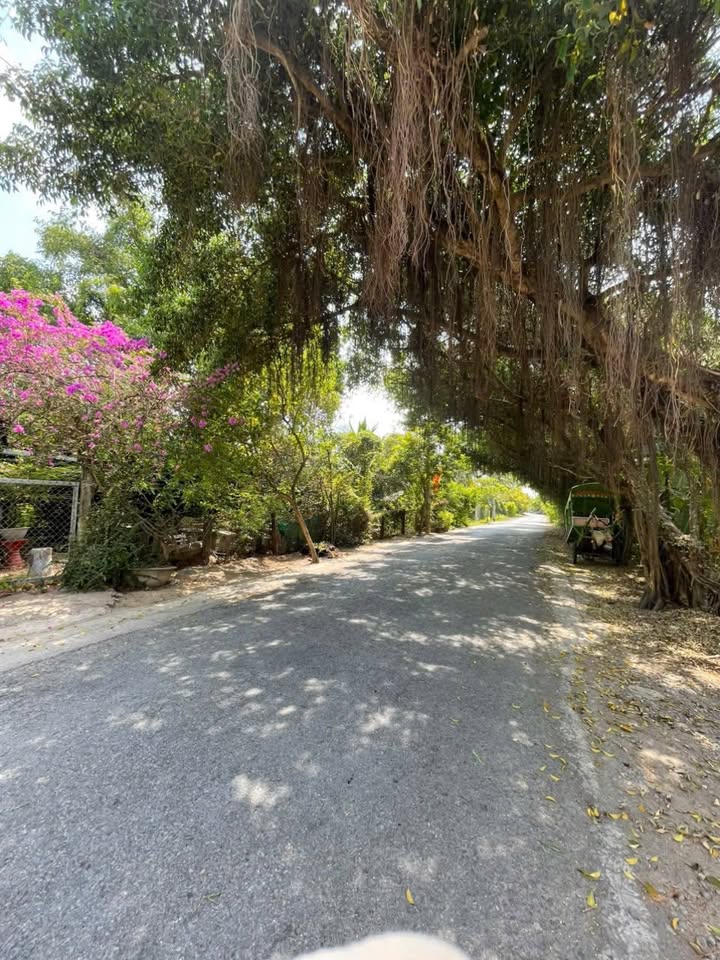 Đất mặt tiền sông 6400m² tại Thới Sơn, Mỹ Tho - Đầu tư lý tưởng!