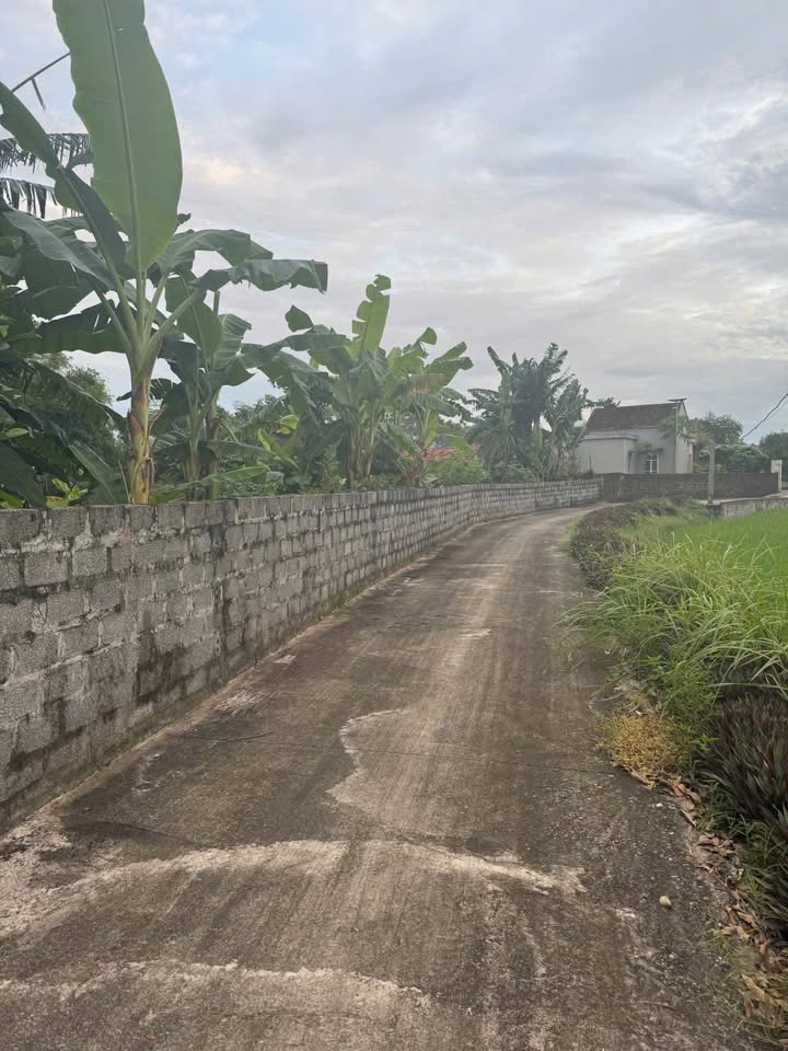 Đất nền Yên Sơn, Tam Điệp 300m² giá 700 triệu - Cơ hội đầu tư hấp dẫn!