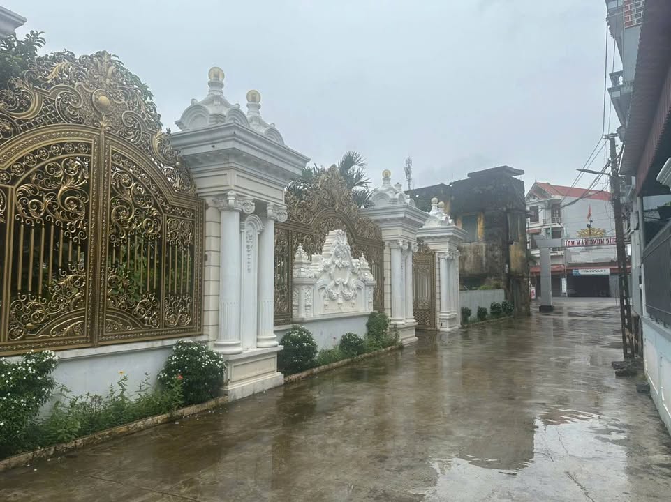 Đất Xóm 1, Xuân Ninh, 82m² - Gần Ngã Tư Phố Lạc Quần, Giá Thỏa Thuận!