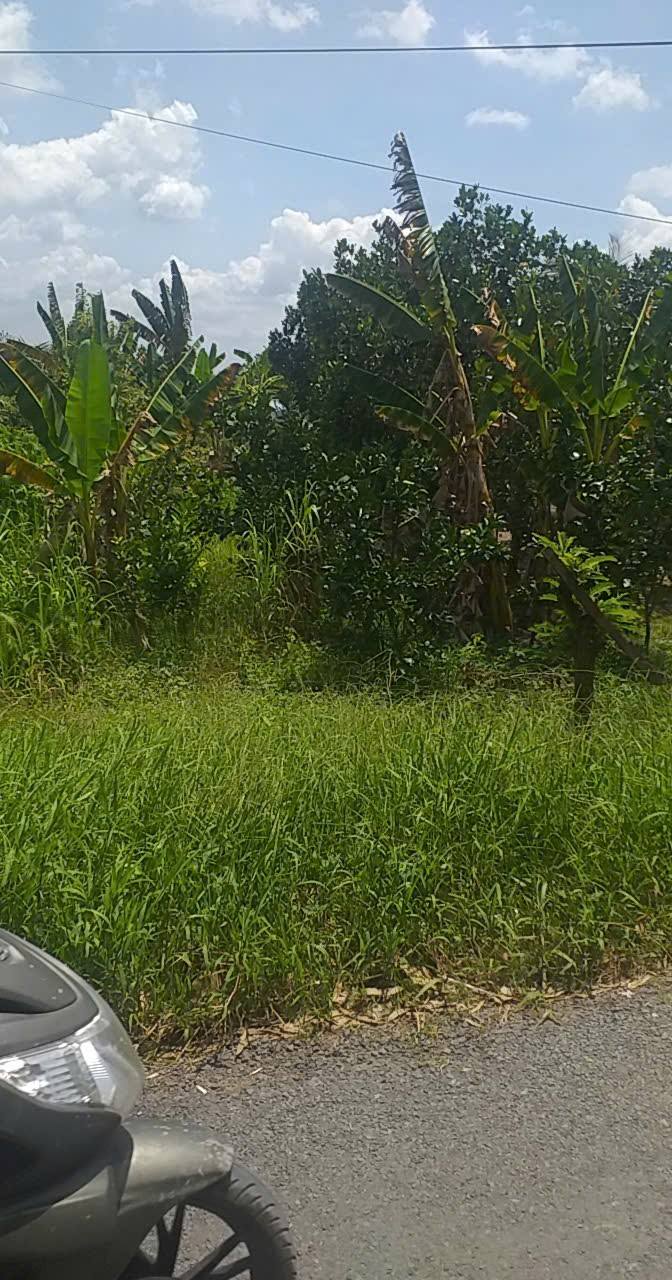 Đất nền Mỹ Hội, Cái Bè 300m² giá 3 tỷ - Bán gấp, đầu tư sinh lời!