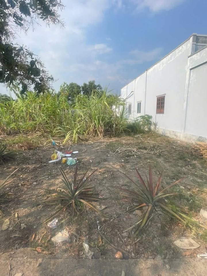 Đất nền Long An 600m² giá 450 triệu - Cơ hội đầu tư hấp dẫn!