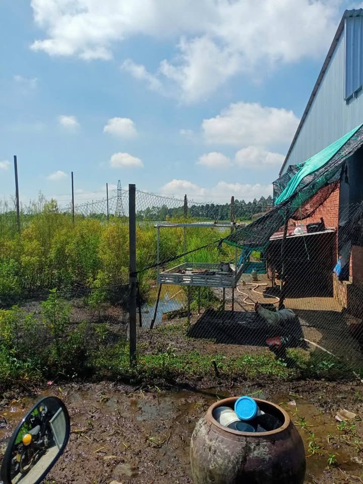 Đất nền 109.7m² đường Trần Thủ Độ, An Bình - Giá chỉ 370 triệu!