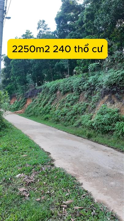 Lô đất 2250m² tại Trung Giã, Sóc Sơn – Sát hồ Hoa Sơn, Tiềm năng tăng giá cao!