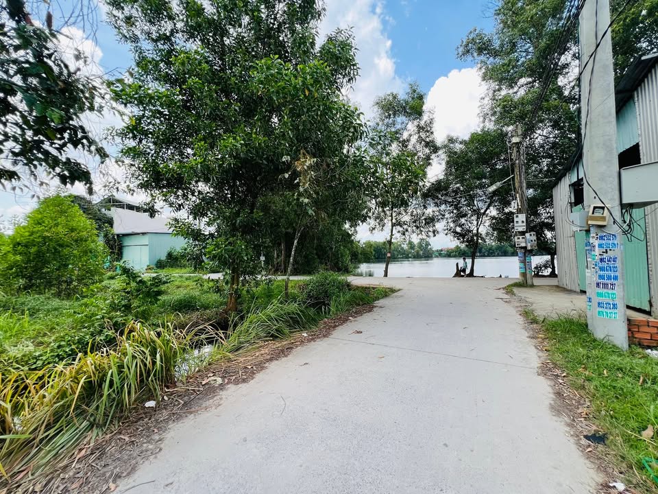 Đất thổ cư 125m² tại Mỹ Hạnh Nam, Long An giá 1.5 tỷ - Vị trí đẹp, gần hồ sinh thái!
