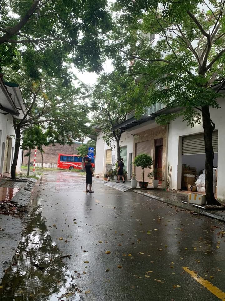 Kho cho thuê tại Ninh Hiệp 80 triệu/năm - Vị trí đắc địa, thuận tiện giao thông!