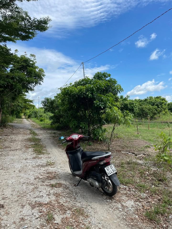 Đất nông nghiệp 510m² phường Mỹ Thới, giá 750 triệu - Tiềm năng lên thổ cư