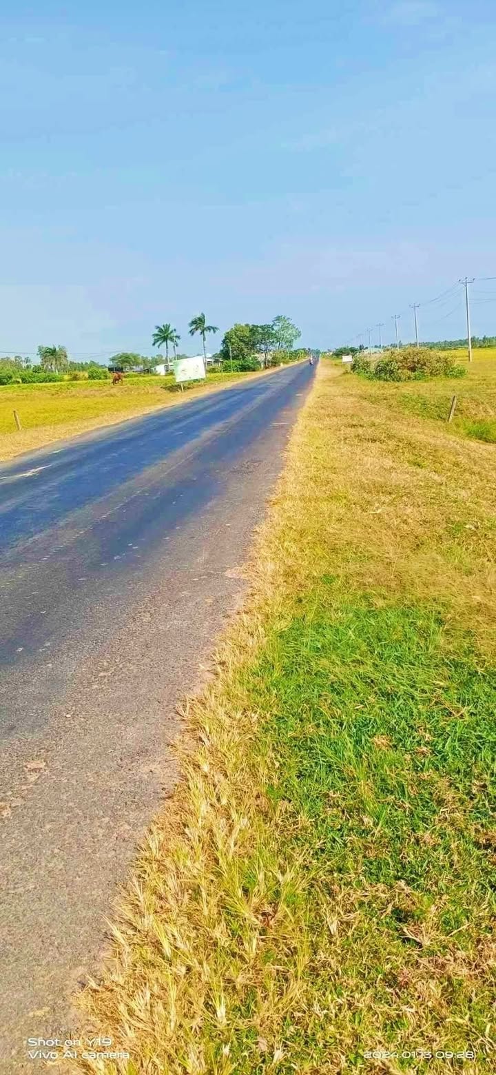 Đất mặt tiền đường Nam Sông Hậu, xã Đại Ân 2, huyện Trần Đề, 1180m² - Giá chỉ 12 tỷ VND!