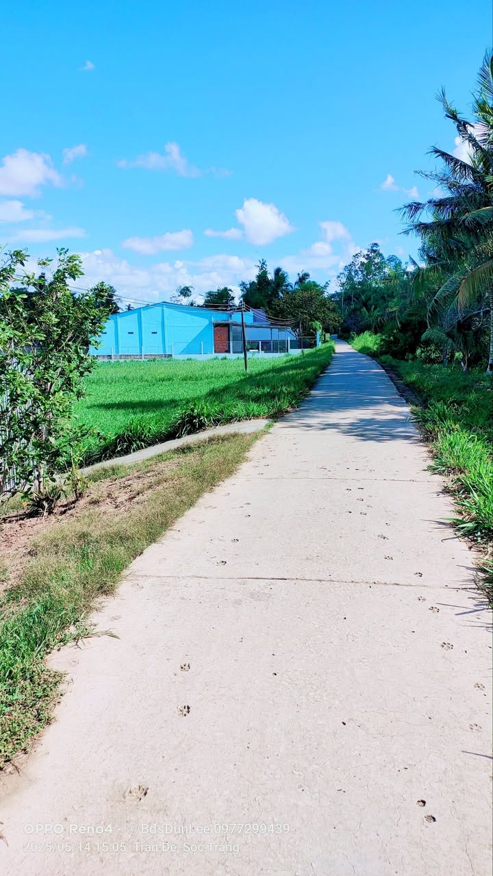 Đất mặt tiền ấp Bờ Đập - Trần Đề - Sóc Trăng 528m² giá chỉ 385 triệu - Cơ hội đầu tư hấp dẫn!