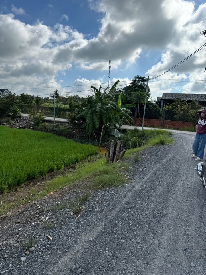 Đất nền 2 mặt tiền 1000m² xã Mỹ Thạnh, giá 550 triệu - Đầu tư sinh lời ngay!