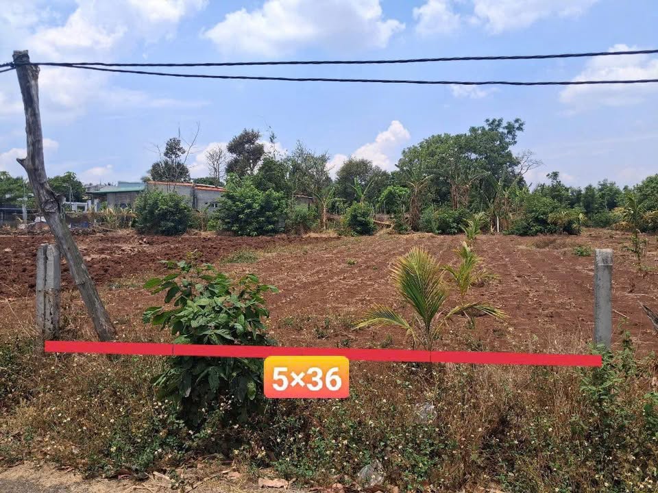 Đất T8 Cư Êbur, Buôn Ma Thuột 180m² giá 750 triệu - Pháp lý rõ ràng, hướng Đông thoáng mát!