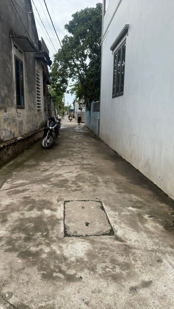 Đất nền Liên Nghĩa Văn Giang 50m² giá 2.5 tỷ - Vị trí đắc địa, tiềm năng tăng giá!