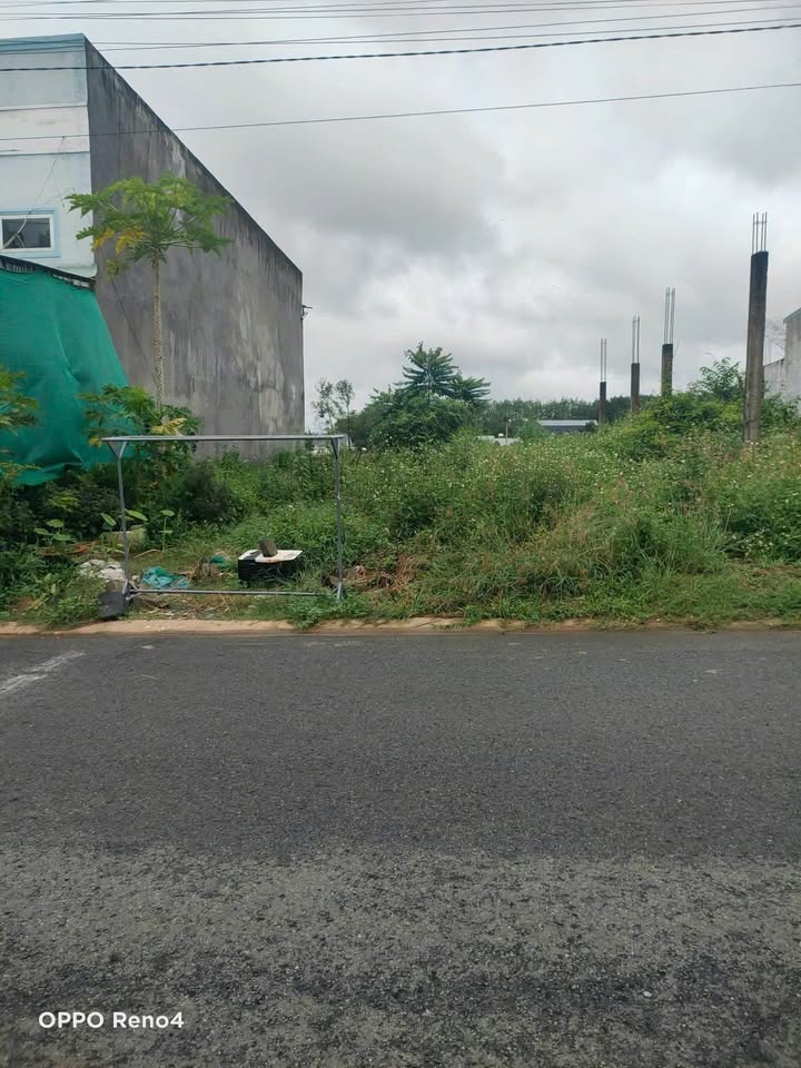 Đất thổ cư 1255m² Tiến Thành, Đồng Xoài chỉ 950 triệu - Cơ hội vàng cho nhà đầu tư!