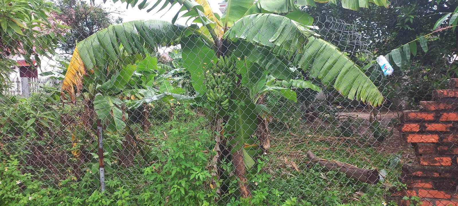 Đất nền Hiền Ninh, Sóc Sơn 100m² giá chỉ hơn 3 tỷ - Chính chủ bán gấp!