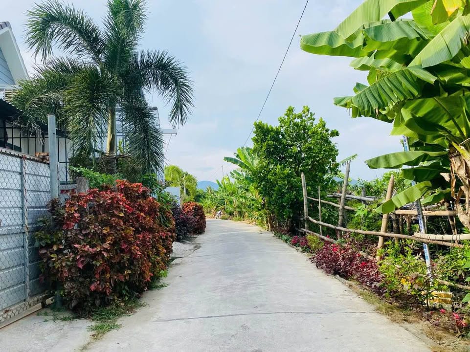 Đất 2 mặt tiền thôn Trung Nam, Diên Toàn, 262.2m², Giá chỉ 2.7 tỷ - Cơ hội đầu tư tuyệt vời!