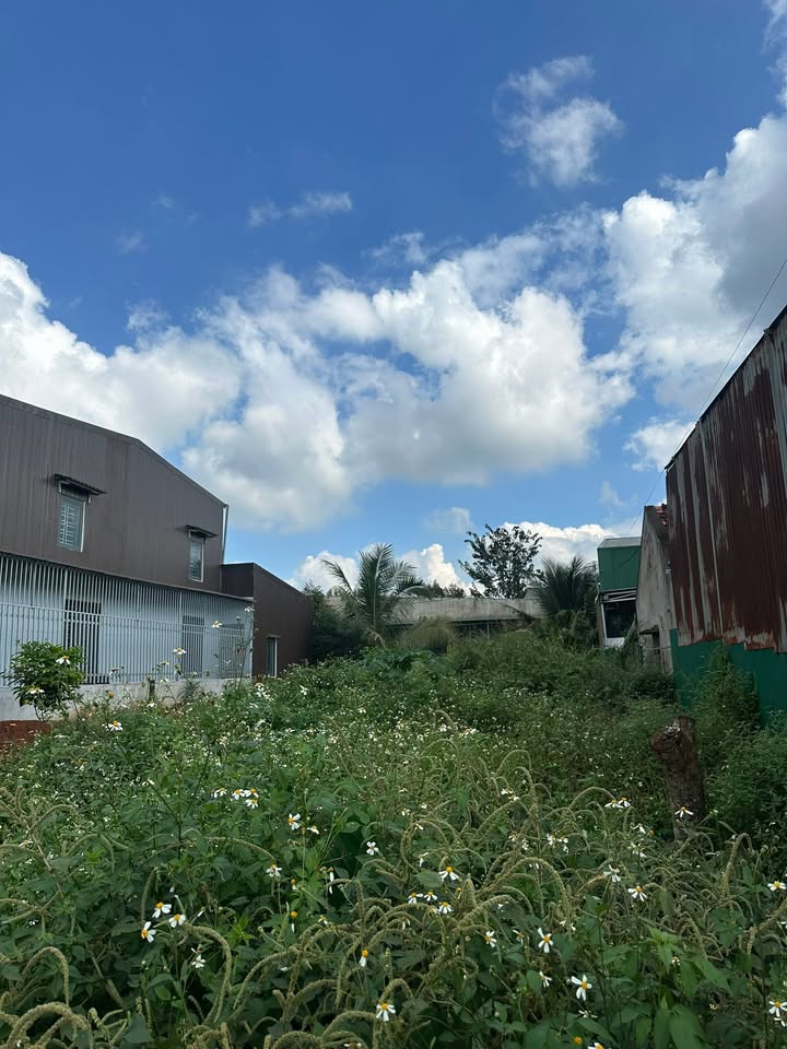 Đất Thị Trấn Phước An 180m² giá 1.3 tỷ - Đường thông thoáng, vị trí đẹp!