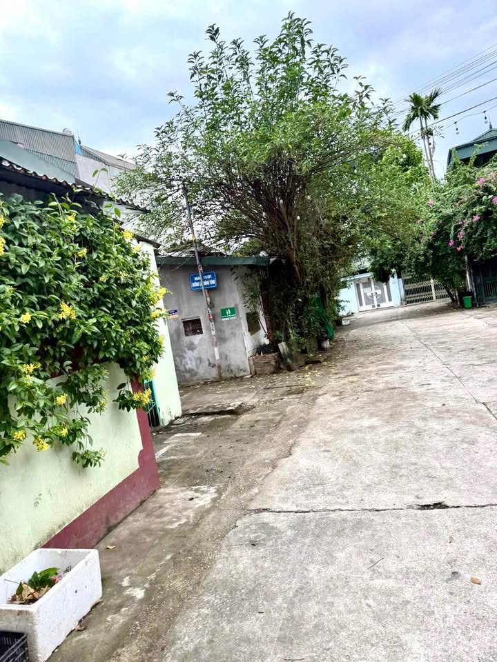 Nhà cấp 4 tại Tổ 8 Tân Thịnh, 54m² giá chưa đến 700 triệu - Chính chủ bán gấp!