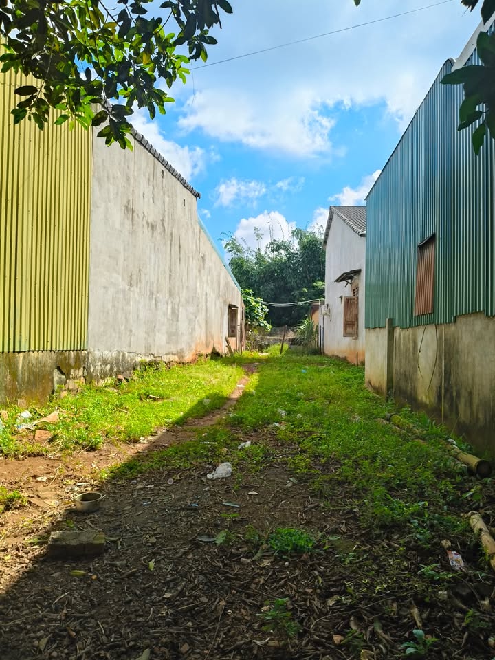 Đất nền Đắk Mil 350m² giá 2.3 tỷ - Vị trí đắc địa gần ngã ba Đức Mạnh!