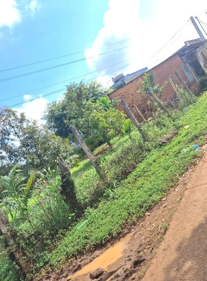 Đất nền thổ cư Pơng Drang 245m² giá 980 triệu - Đầu tư sinh lời ngay!