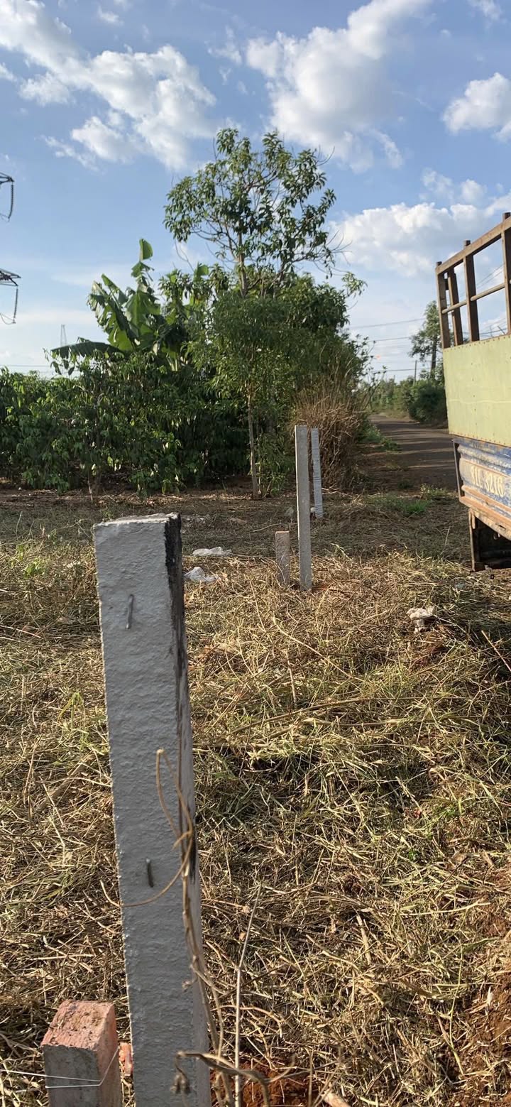 Đất nền xã Ia Dêr, huyện Ia Grai 230m² giá chỉ 350 triệu - Tiềm năng sinh lời cao!