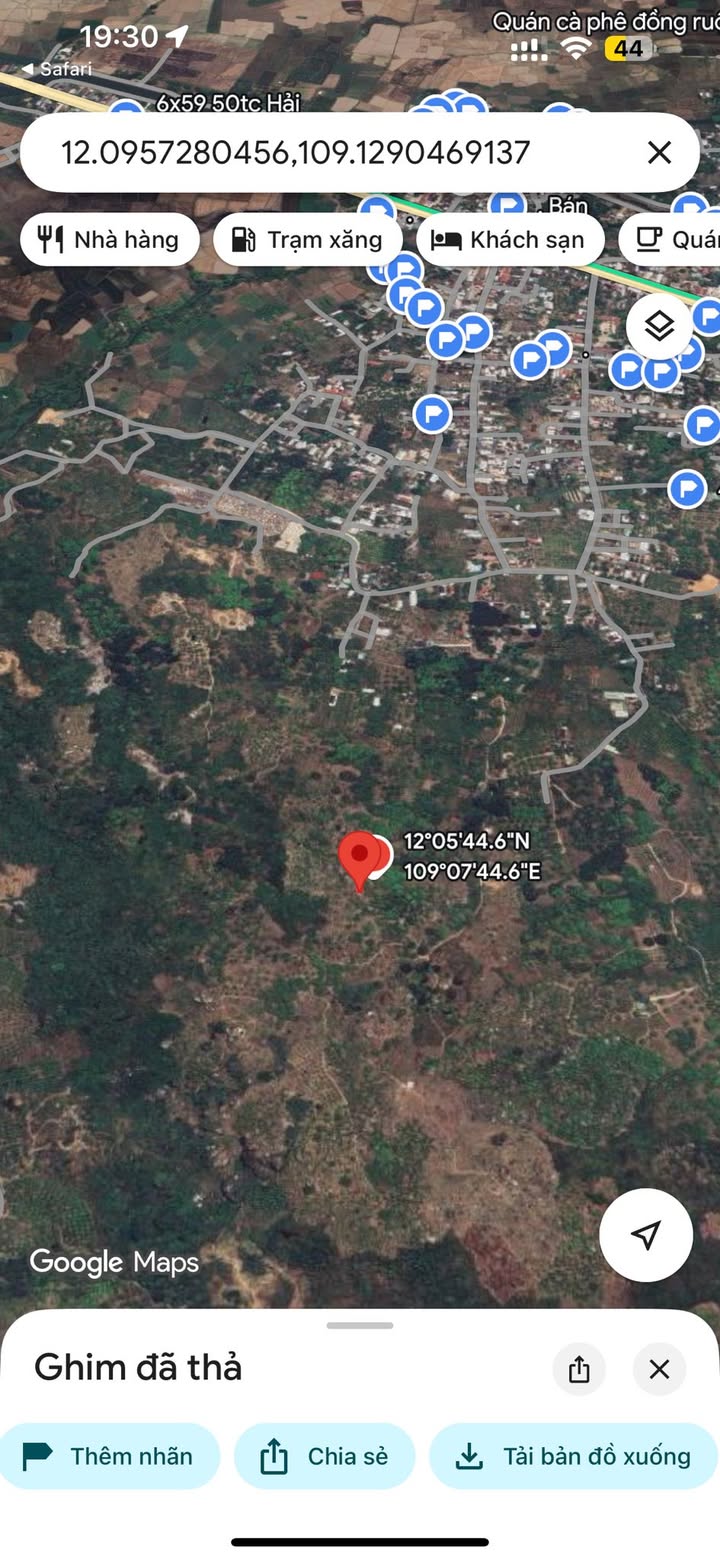 Đất rừng sản xuất Cam Hòa 4800m² giá 600 triệu - Đầu tư sinh lời ngay!