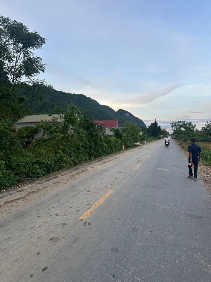 Bán đất Kỳ Tân Tân Kỳ 250m² - Đất ở chính chủ, gần QL 48E!