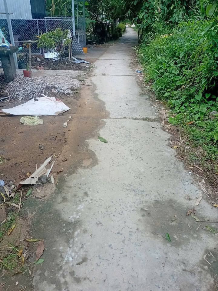 Đất vườn 10.000m² tại phường Hoà Mỹ, giá 1.2 tỷ - Tặng nhà cấp 4 ngay!!