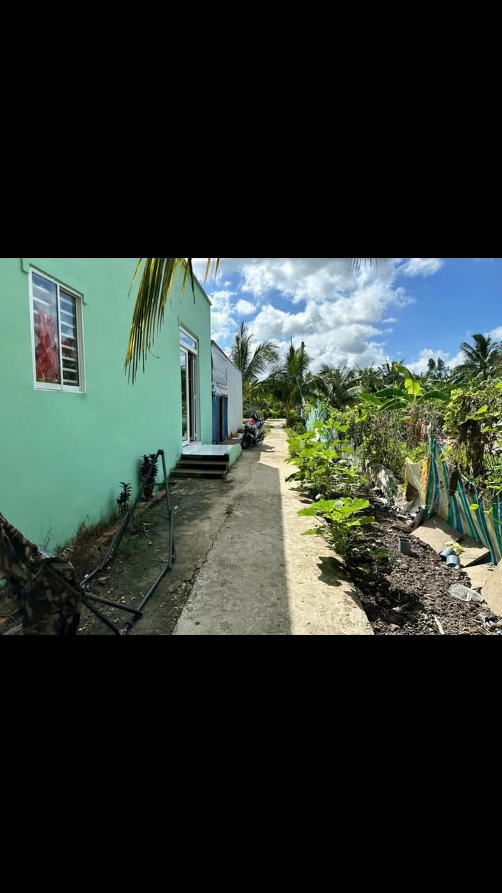 Đất nền 12.330m² xã Mỹ Hương, giá chỉ 1.65 tỷ - Cơ hội đầu tư không thể bỏ lỡ!