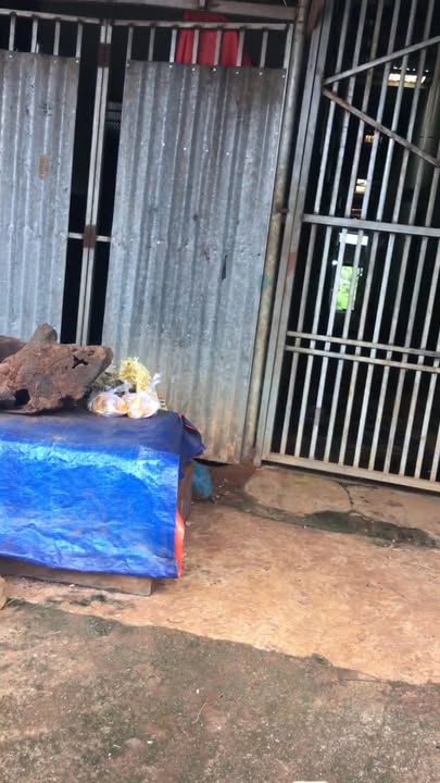 Đất mặt đường Ia Krai 432m² - Kinh doanh tạp hóa, bún phở lý tưởng!