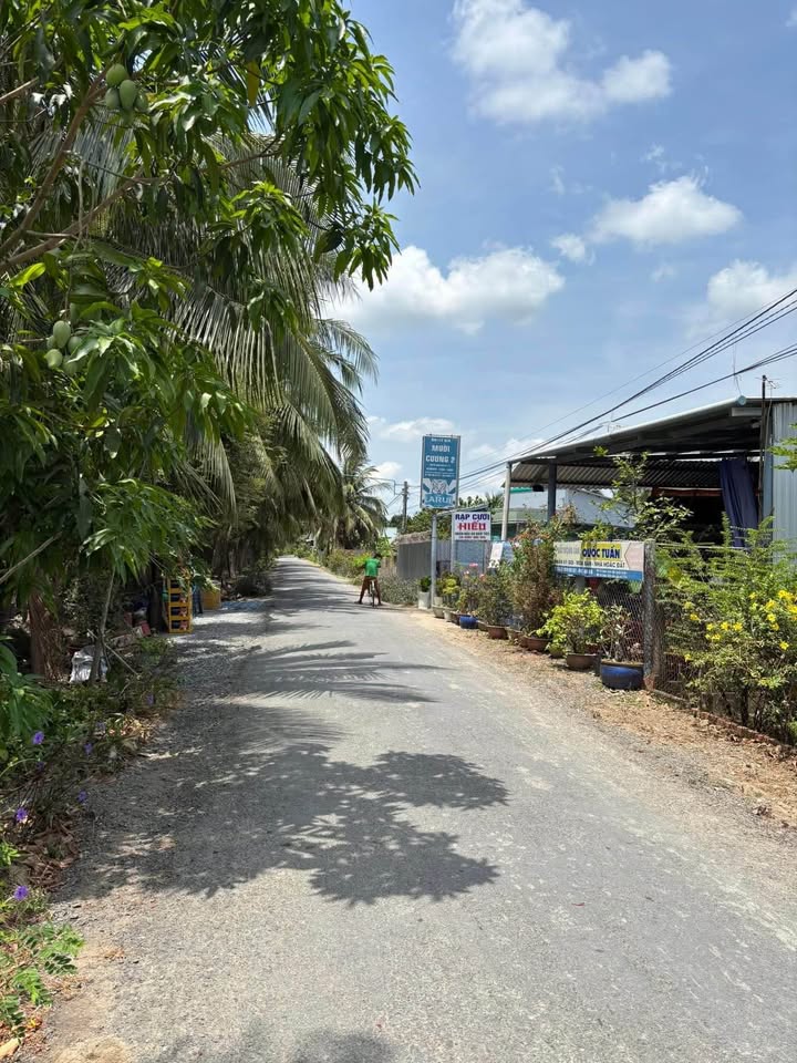 Đất mặt tiền đường Cao Tấn Phát, Bình Ninh, Chợ Gạo 108m² giá 495 triệu - Đầu tư sinh lời ngay!