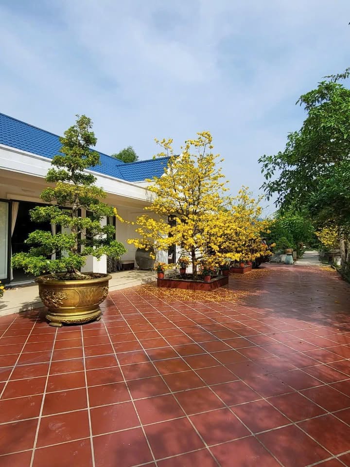 Biệt thự Vườn Đa Phước, Bình Chánh 2031m² giá 19.5 tỷ - Không thể bỏ lỡ!