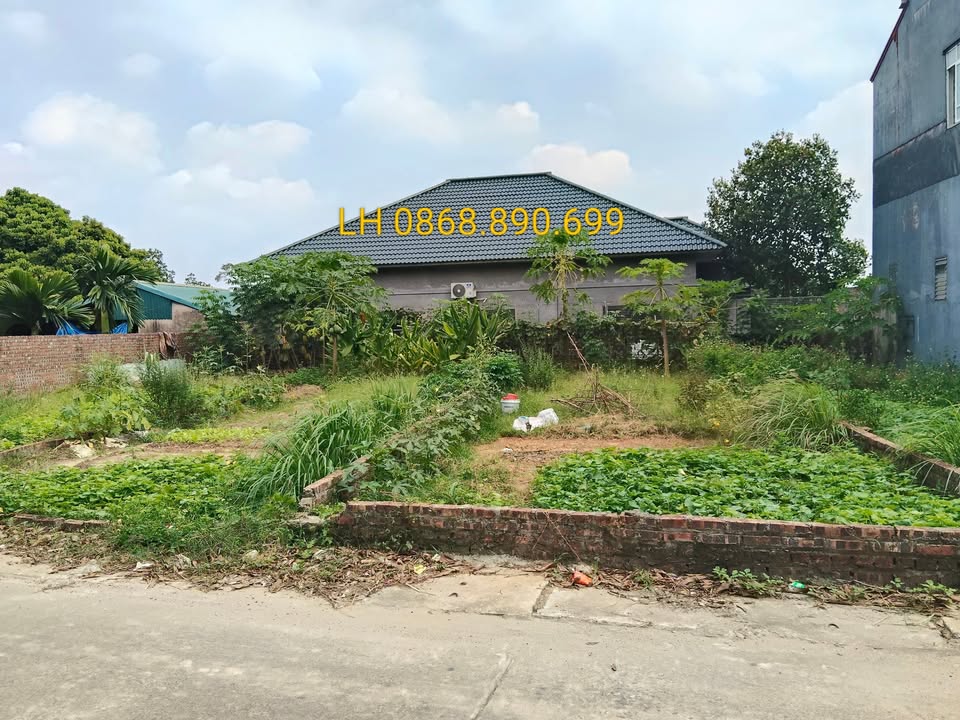 Đất nền Minh Trí, Sóc Sơn 86m² - Thửa đất vuông đẹp, giá thỏa thuận!