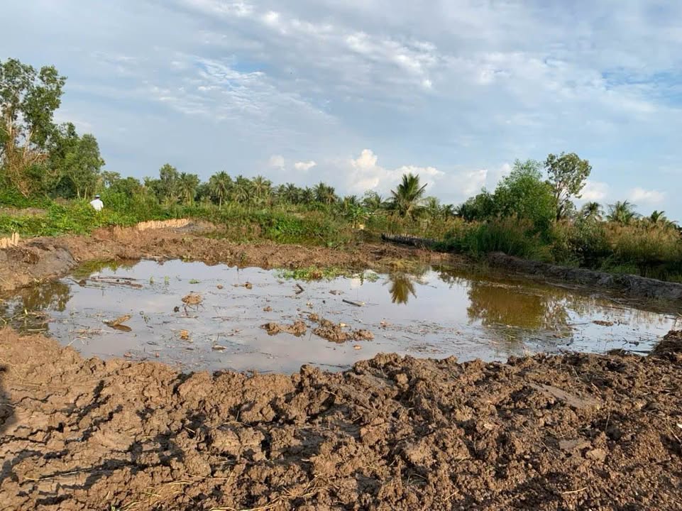 Đất Ấp Bình Định, Phường Tân Thành Cà Mau 1375m² giá 1.375 tỷ - Cơ hội đầu tư hấp dẫn!