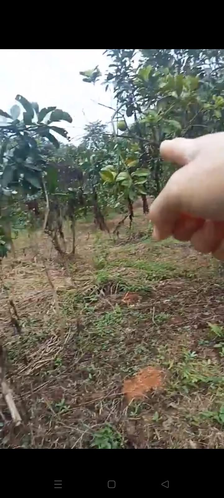 Đất nền Văn Luông Tân Sơn 1312m² - Giá rẻ, phù hợp đầu tư nghỉ dưỡng!