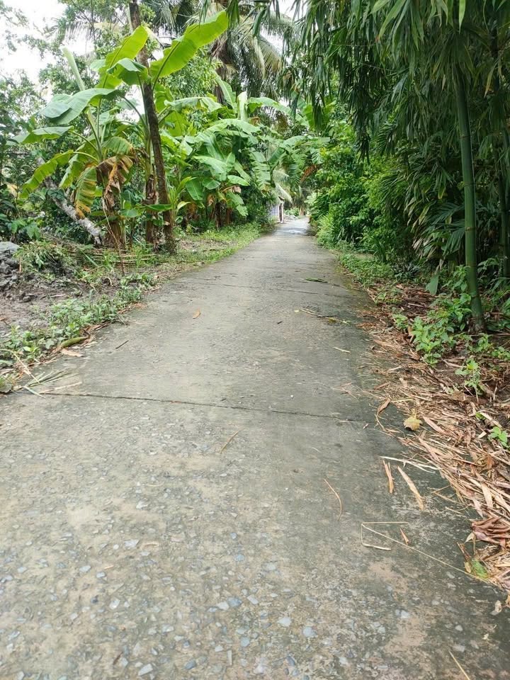 Đất nền Hưng Phú, Mỹ Tú, Sóc Trăng 210m² giá 160 triệu - Cơ hội đầu tư tuyệt vời!