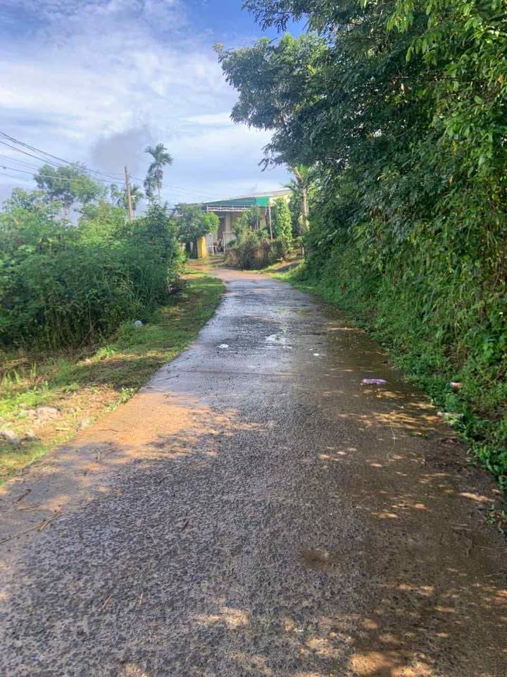 Đất nền Đắk Mil 165m² giá 600 triệu - Đầu tư sinh lời ngay!