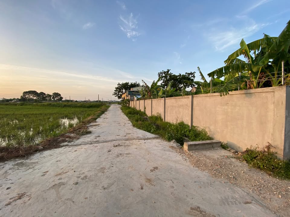 Đất nền Diễn Liên 130m² giá 1 tỷ - Đường bê tông rộng rãi, chính chủ!