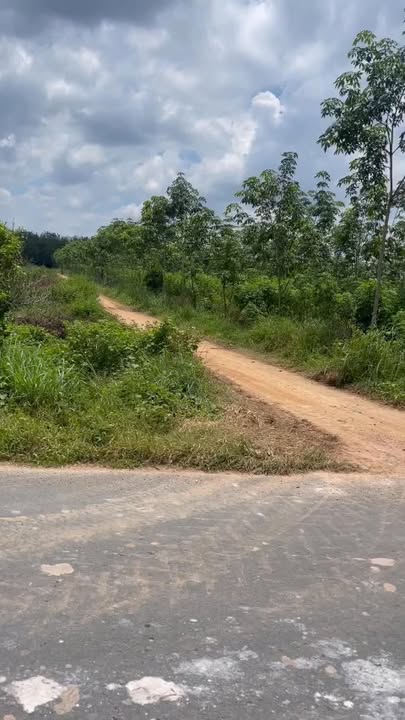 Đất mặt tiền ĐT788 Hòa Hiệp, Tân Biên, Tây Ninh 17.450m² giá chỉ 52.35 tỷ - Cơ hội đầu tư hấp dẫn!