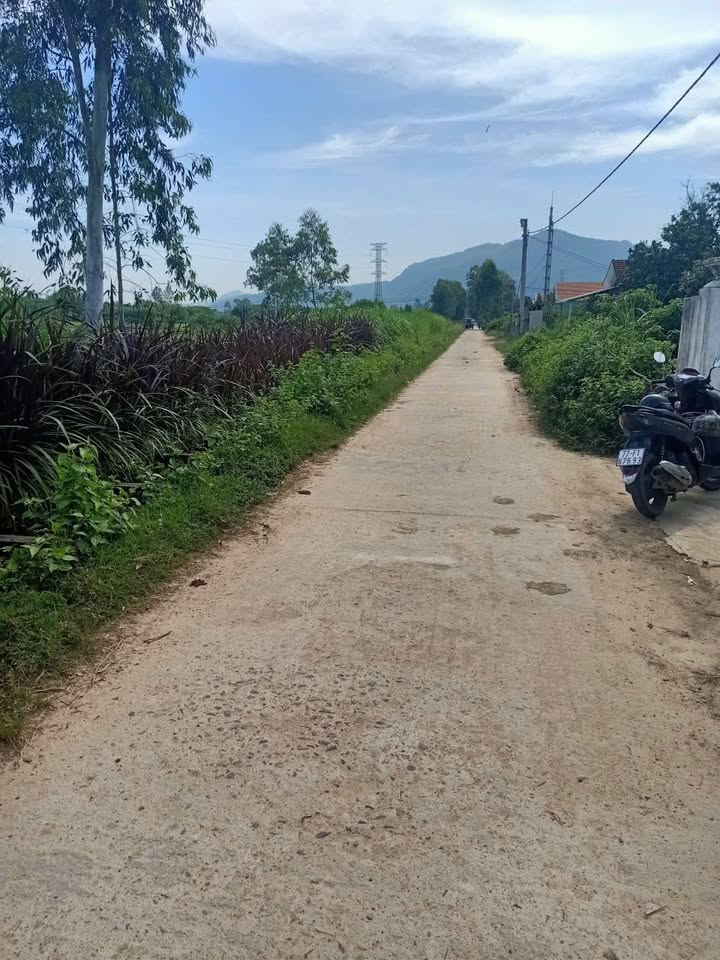 Đất nền Nhơn Thọ An Nhơn 366m² giá 300 triệu - Đường ô tô vào tận nơi!