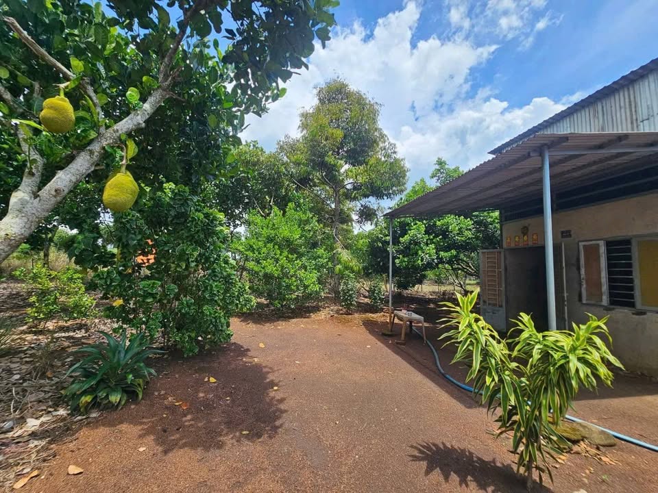 Đất nông nghiệp Bảo Vinh 1000m² giá 1.6 tỷ - Gần chợ, tiện ích đầy đủ!