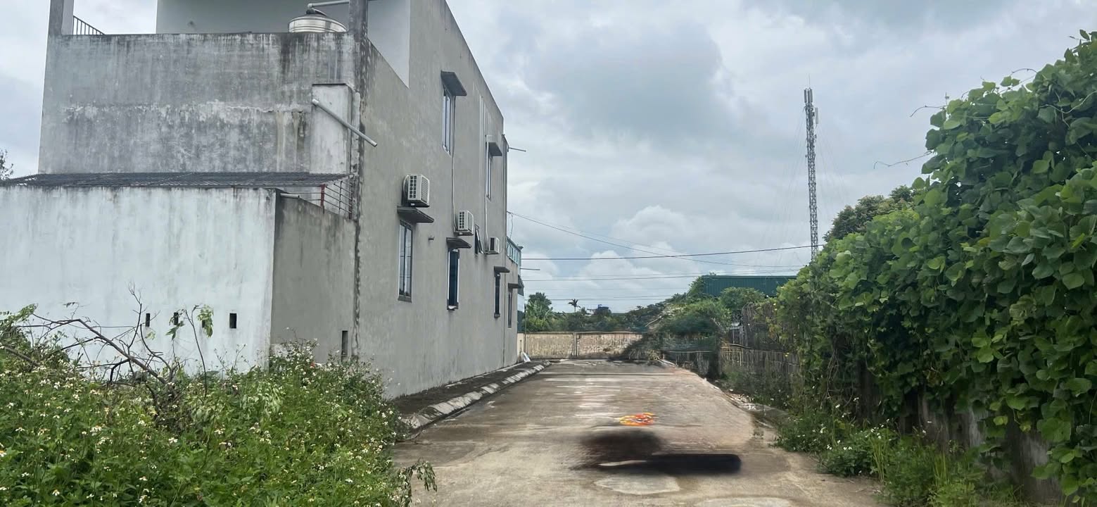 Đất nền Vũ Lăng Tiền Hải 118m² giá chỉ 999 triệu - Cơ hội đầu tư tuyệt vời!