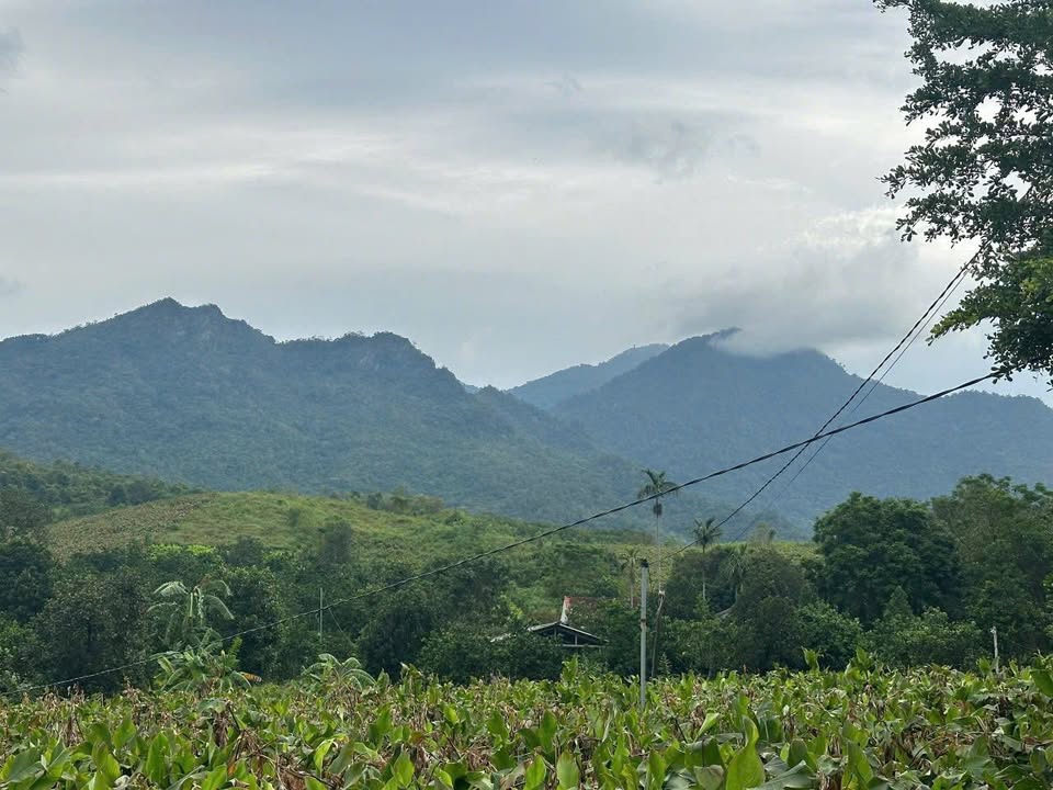 Đất nền Gò Đình Muôn, Ba Vì 3053m² giá chỉ 4.1 tỷ - Đầu tư sinh lời ngay!