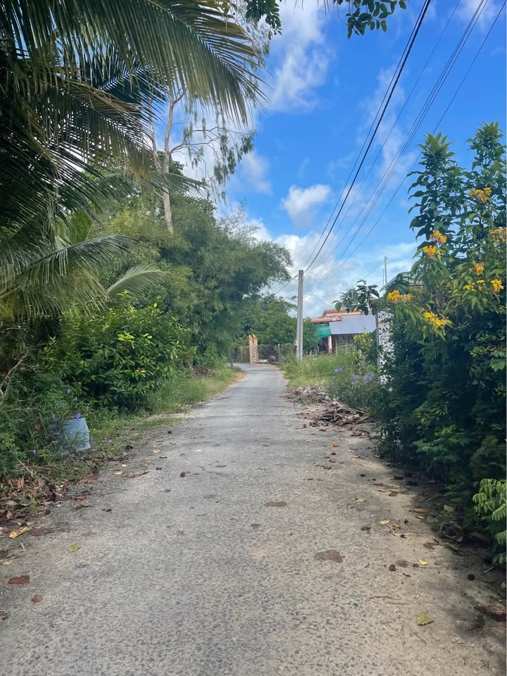 Đất nền đẹp tại Mỹ Khánh, Long Xuyên 1012m² giá 3 tỷ - Cơ hội đầu tư hấp dẫn!