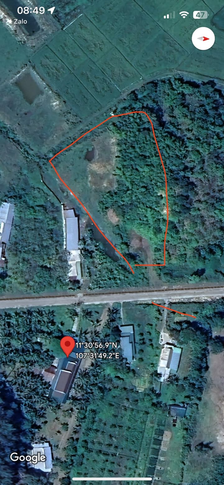 Đất thổ cư Đạ Tẻh 2500m² giá 550 triệu - Bớt lộc cho khách thiện chí!